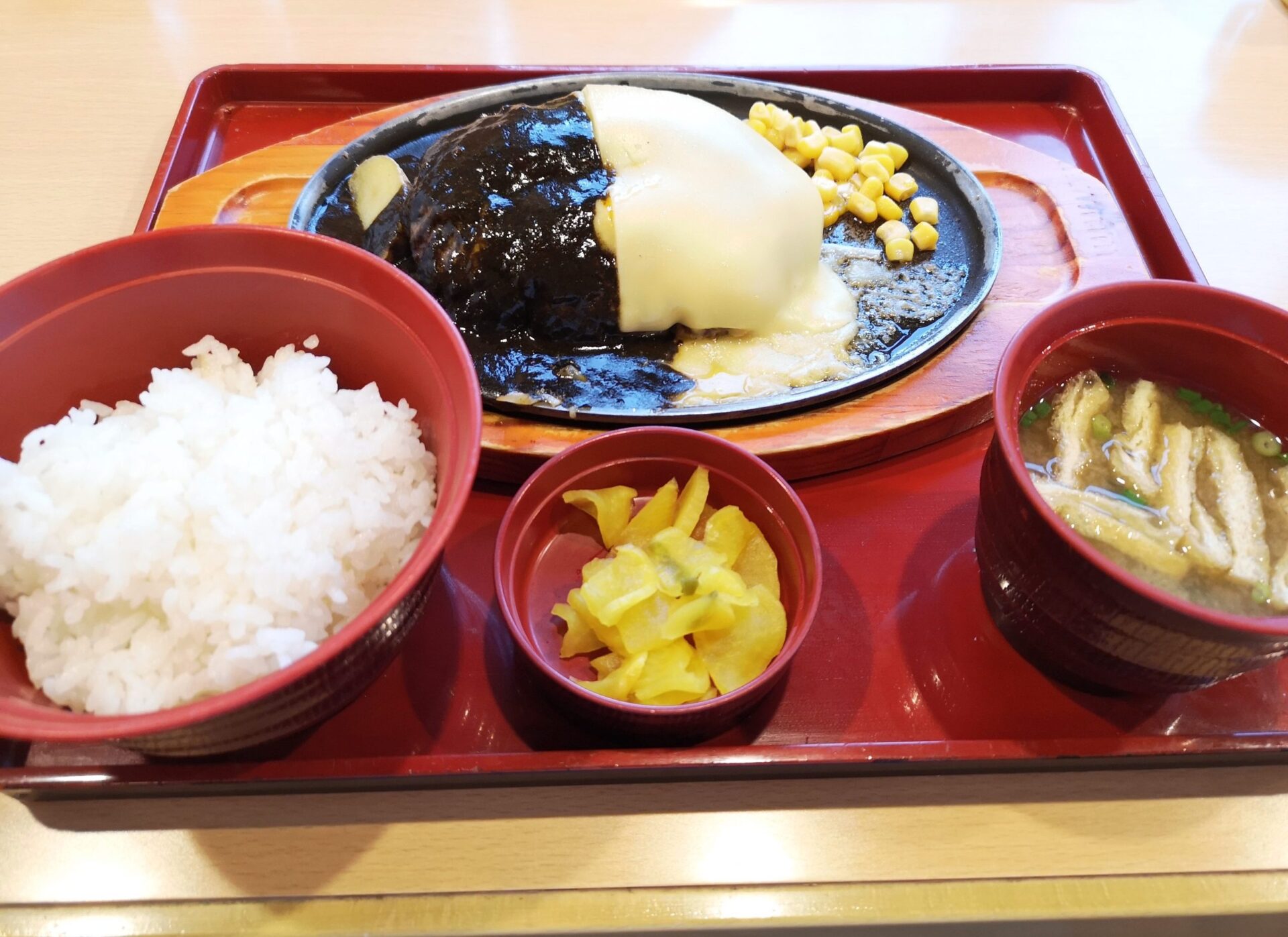 ヒカルハンバーグと和食セット