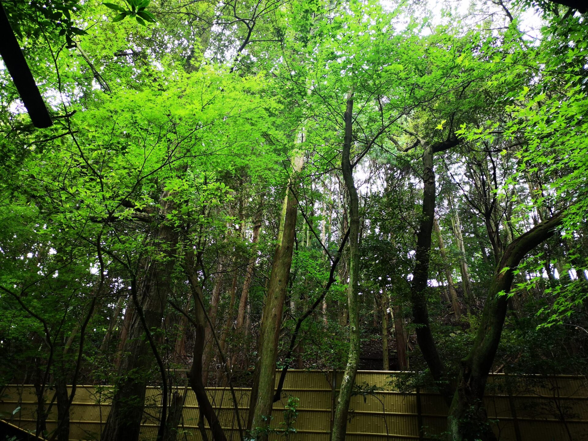 鳥栖の山ぼうしの露天風呂