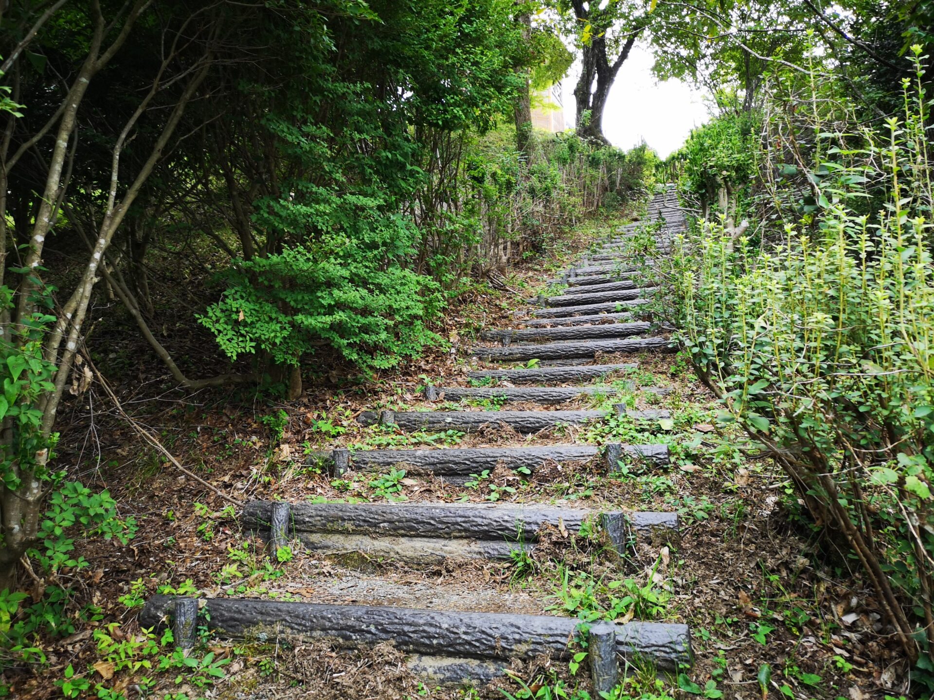 高取山公園の山頂までの階段