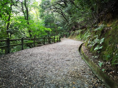 天拝山登山道