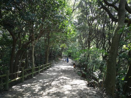 天拝山登山道