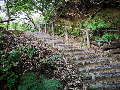 天拝山の階段