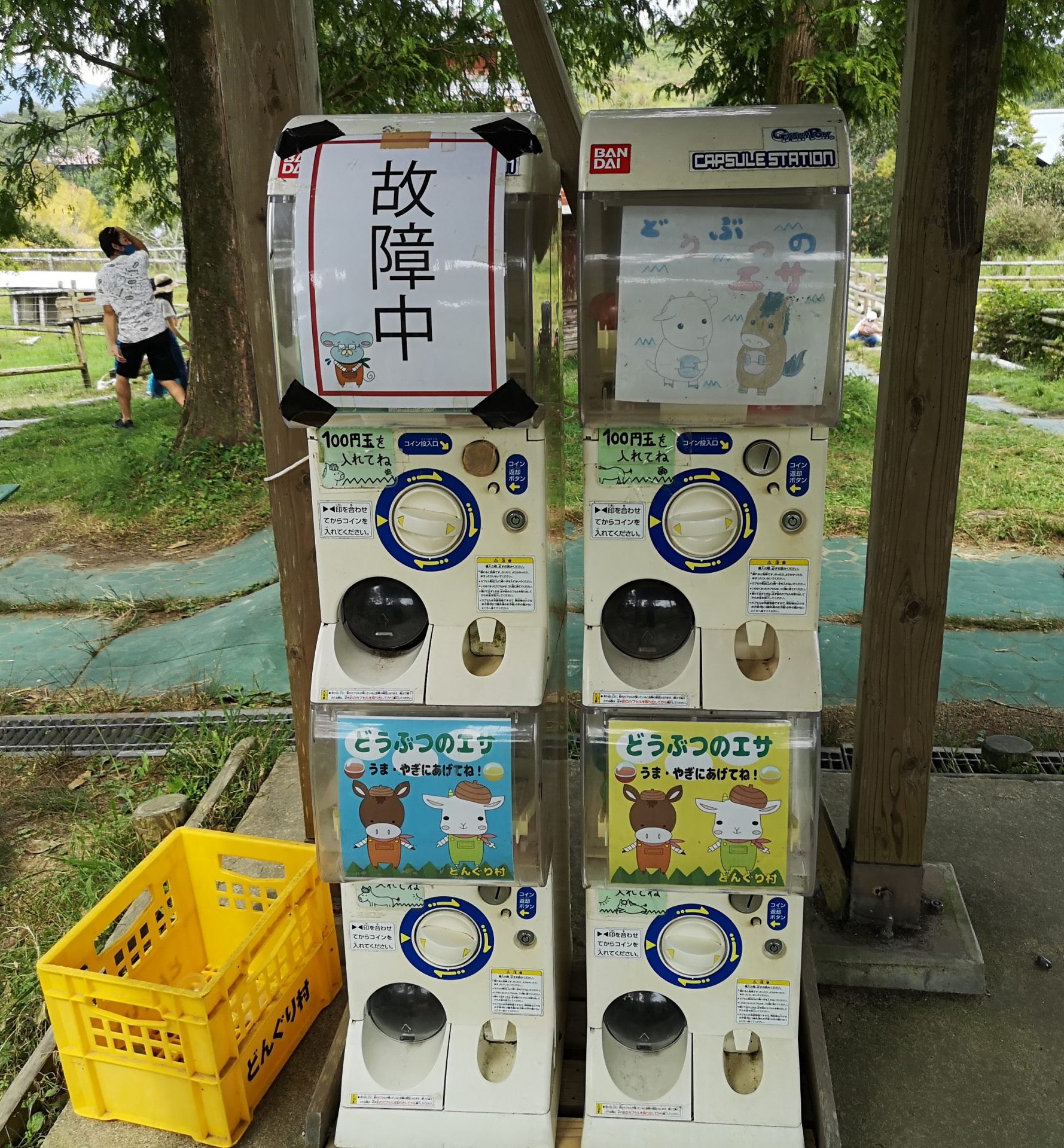 どんぐり村、動物の餌やり