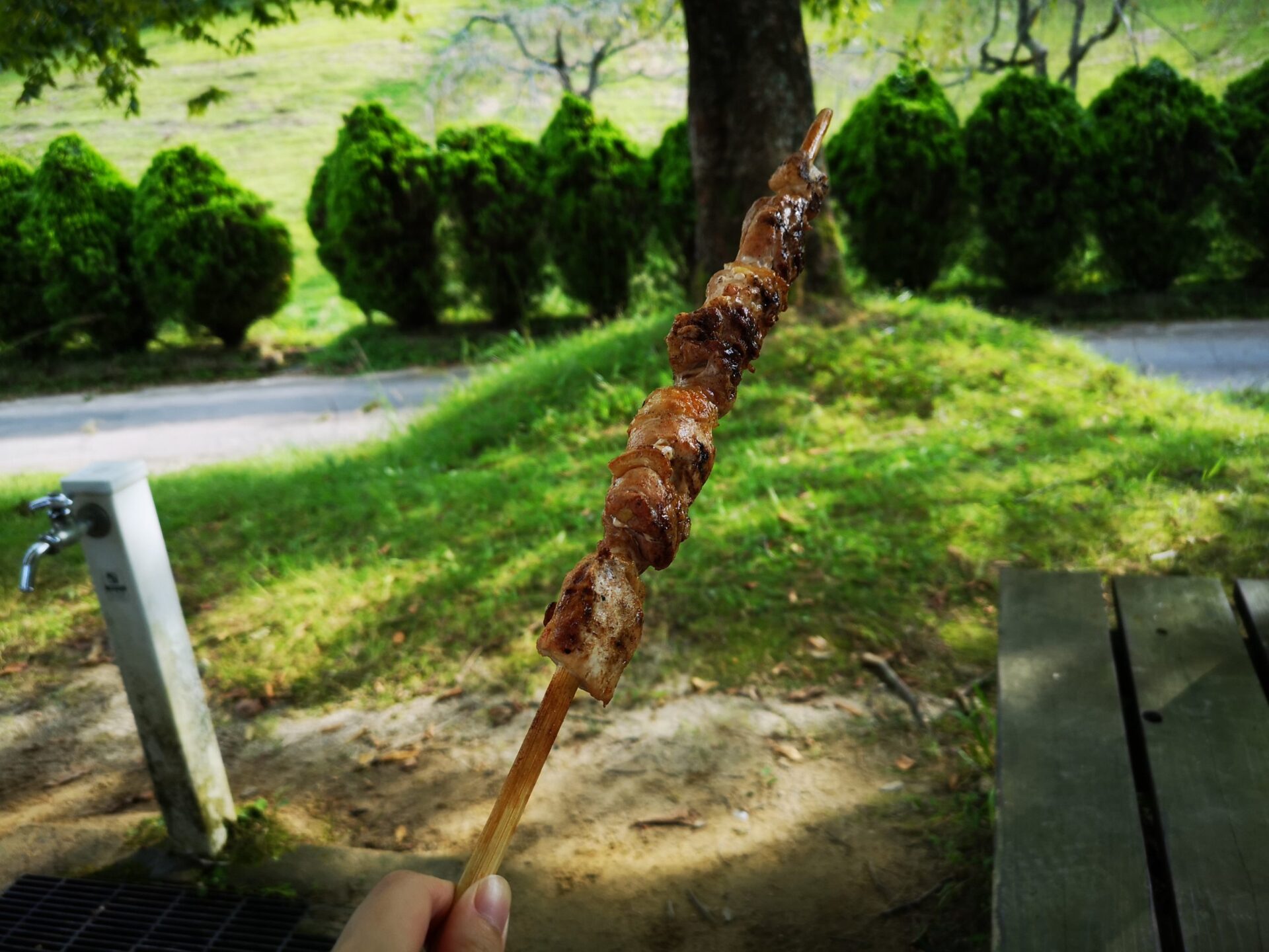 どんぐり村の三ツ瀬鶏ブロシェット