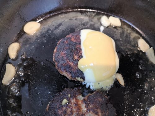 冷凍ヒカルハンバーグ