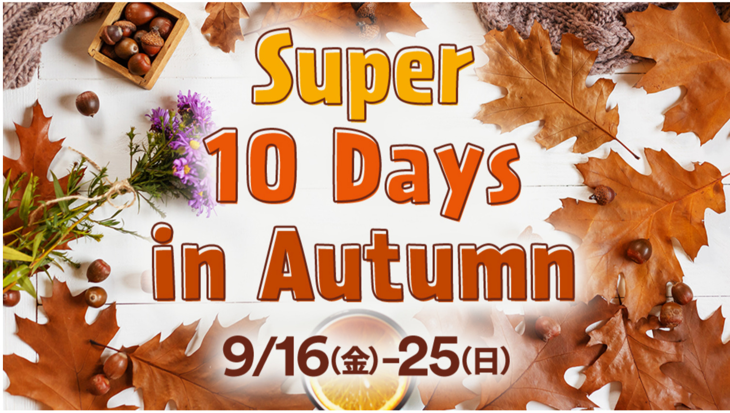 9月、鳥栖アウトレットセール情報