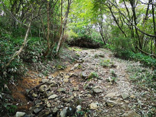 天山登山、厳木ルート