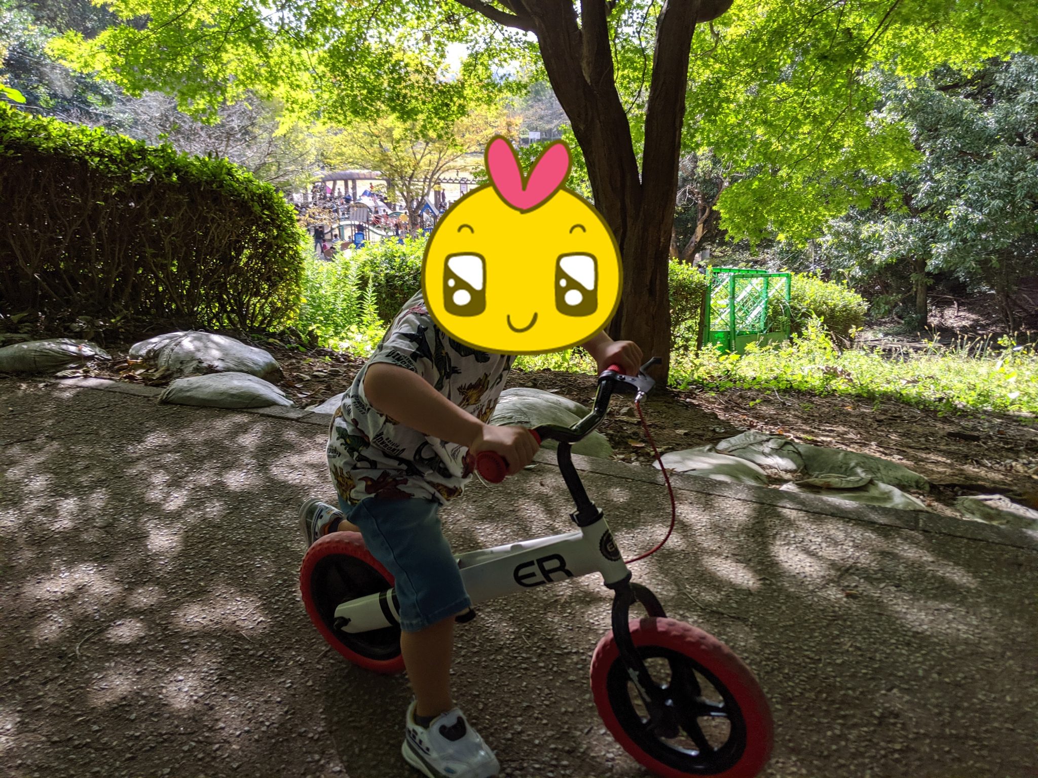 自転車 いきなり 補助 輪 なし