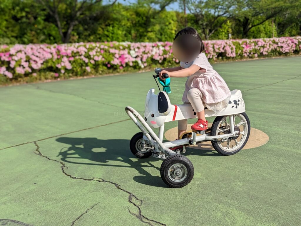 犬のおもしろ自転車